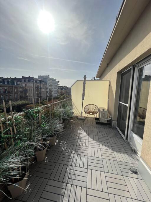 Appartement Cosy Orangerie Strasbourg Eksteriør billede