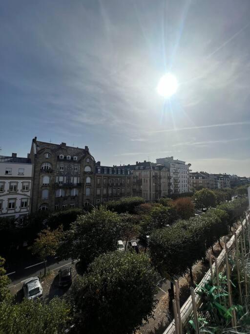 Appartement Cosy Orangerie Strasbourg Eksteriør billede